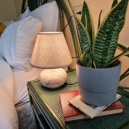 A 2 Min De La Catedral 奥维耶多