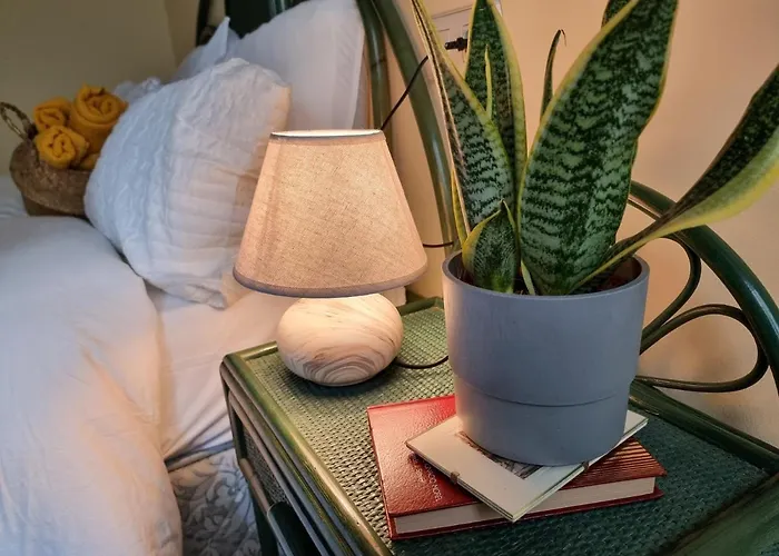 A 2 Min De La Catedral 奥维耶多